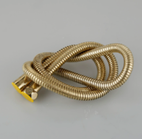 Roestvrijstalen doucheslang in meerdere maten, explosieveilige EPDM-uittrekbuis voor bidetsproeier en toilethoekkraan